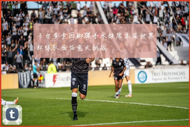 卡尔多索因脚踝手术缺席本届世界杯球队面临重大挑战