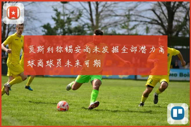 莫斯利称锡安尚未发掘全部潜力高球商球员未来可期